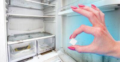 Опытные хозяйки знают, что, если в холодильнике появился неприятный душок, нужно положить туда немного сахара - takprosto.cc