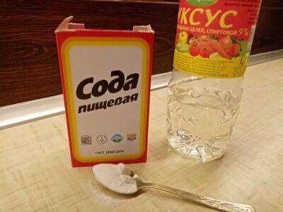 Марин Михалап - Как с помощью соды улучшить запах в доме: не все хозяйки знают - belnovosti.by