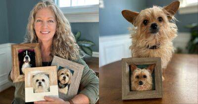 Талантливая мастерица превращает шерсть в трехмерные портреты собак, помогая хозяевам сохранить память о своем любимце - cpykami.ru