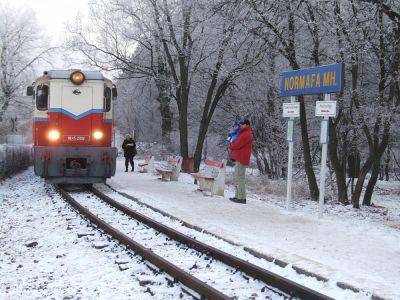 Как работает детская железная дорога в Венгрии? - shkolazhizni.ru - Венгрия