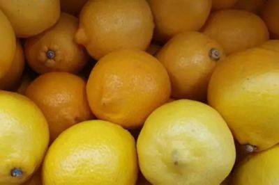 Елен Гутыро - Кому полезно держать лимон в спальне: не каждый знает - belnovosti.by