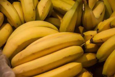 Перестаньте выбрасывать банановую кожуру: идеи использования, о которых еще не знают хозяйки - belnovosti.by