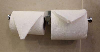 Почему нужно держаться подальше от туалетной бумаги в отелях, руки прочь от нее - takprosto.cc