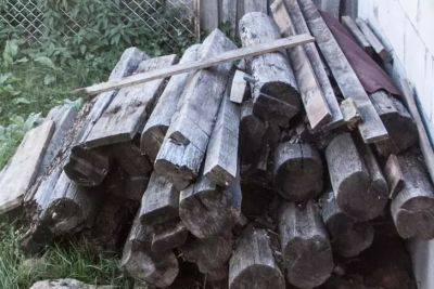 Шашлычные тонкости: на каких дровах не рекомендуется жарить мясо - belnovosti.by