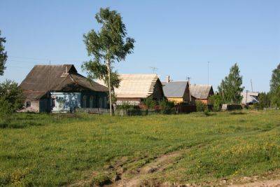 Как мы раньше отдыхали в деревне у бабушки? - shkolazhizni.ru
