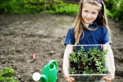 Как приобщить ребёнка к садово-огородным работам? Волшебные помидоры - shkolazhizni.ru - Украина