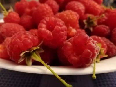 Малина и клубника сохранят свежесть две недели: ягоды нужно промыть в этом растворе - belnovosti.by