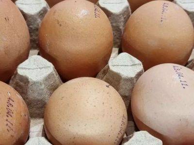 Елен Гутыро - Как правильно положить яйца в холодильник, чтобы они хранились значительно дольше: простой трюк - belnovosti.by