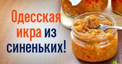 Тетушка Галя из Одессы научила меня готовить фирменную икру из синеньких, начинаю приготовления, пока сезон в разгаре - takprosto.cc - Одесса