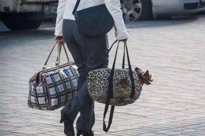 Марин Михалап - Каких 3 предметов не должно быть в женской сумке: они притягивают беды и несчастье - belnovosti.by