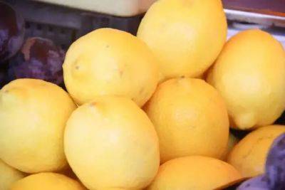 Зачем продвинутые хозяйки кладут лимон в микроволновку: 3 причины – полезно знать - belnovosti.by