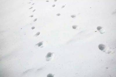 Как не ошибиться с выбором лопаты для снега: параметры, на которые стоит обратить внимание - belnovosti.by