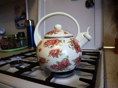Как почистить чайник снаружи и внутри: простое средство, которое спасет от любых загрязнений - belnovosti.by