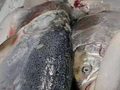 Как избавиться от рыбного запаха: хитрости, которые спасут после готовки – 3 способа - belnovosti.by