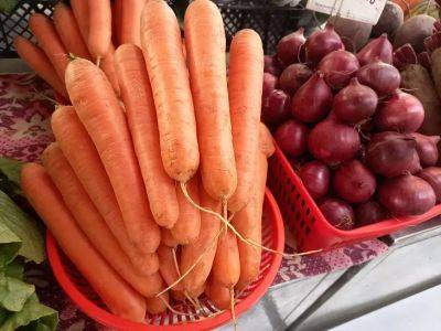 Как спасти вялую морковь: трюк, который «реанимирует» забытые в холодильнике овощи - belnovosti.by