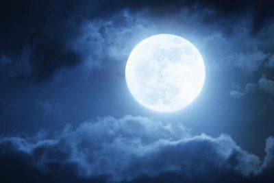 Как лунный календарь влияет на посадки? - shkolazhizni.ru