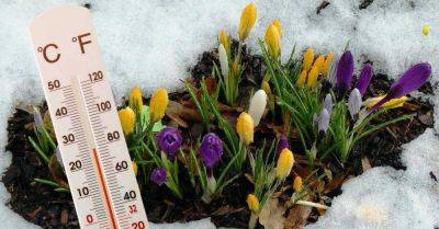 Грядет резкое потепление до +20 градусов, весна придет раньше, чем мы рассчитывали - takprosto.cc - Украина - республика Крым
