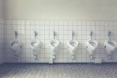 Как и когда появились туалеты? - shkolazhizni.ru - Египет - Римская Империя