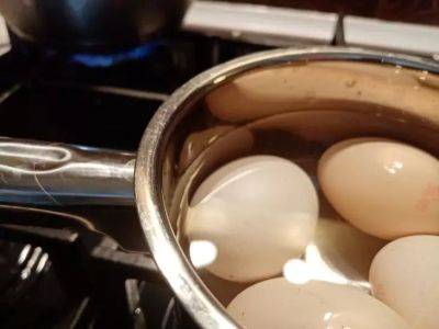 Игорь Зур - Почему после варки яиц француженки никогда не выливают воду: полезные свойства, которые удивят - belnovosti.by