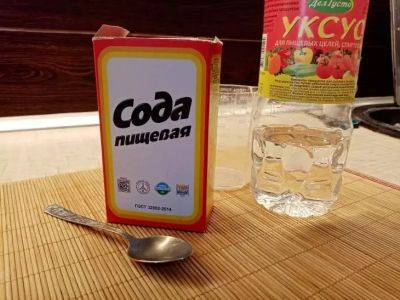 Марин Михалап - Как очистить духовку с помощью уксуса с содой: простой способ - удалит даже старый нагар - belnovosti.by