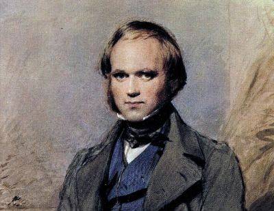 Каков вклад Чарльза Дарвина в науку? - shkolazhizni.ru - Англия - Лондон
