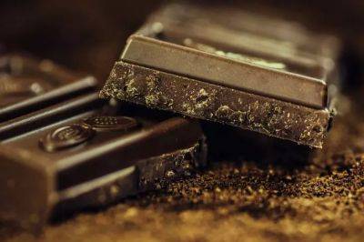 Игорь Зур - Всего три ингредиента: как выбрать качественный шоколад - 3 ингредиента, которые обязательно должны быть в составе шоколадки из магазина - belnovosti.by