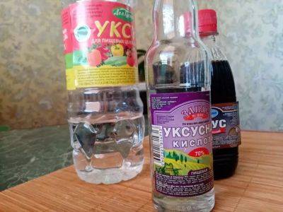 Как быстро справиться с неприятными запахами в доме: хозяйкам на заметку - belnovosti.by
