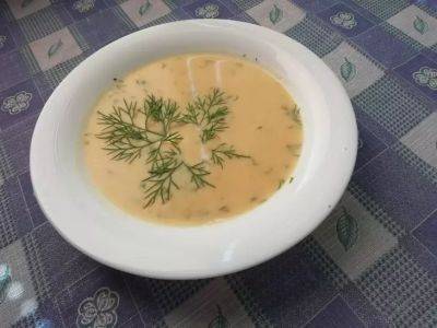 Как сохранить свежесть супа в сильную жару: запомните эти хитрости - belnovosti.by