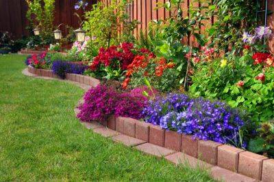 Клумба непрерывного цветения с нуля - nashsovetik.ru