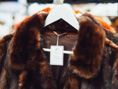 Как подготовить натуральный мех к сезону - all-for-woman.com
