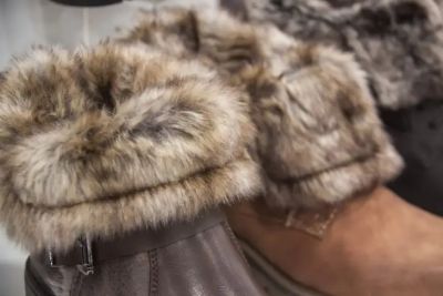 Как одной монеткой проверить качество меха: старинный метод, который до сих пор используют заготовители пушнины - belnovosti.by