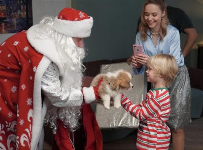 Какие фильмы посмотреть с детьми в ноябре 2025 года? - shkolazhizni.ru