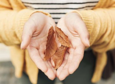 Как вернуть рукам ухоженность и здоровье в этот холодный период - all-for-woman.com