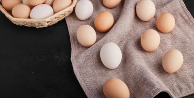 Белые или коричневые: влияет ли цвет яиц на их качество и полезные свойства - nashsovetik.ru