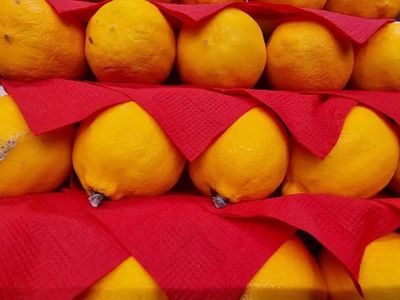 Зачем замораживать лимоны целиком: кулинарный лайфхак, который изменит ваше отношение к цитрусовым - belnovosti.by