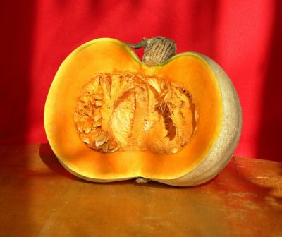 Николай Гоголь - Анна Ахматова - Михаил Булгаков - Иван Тургенев - Какие блюда любили русские классики? Простые рецепты, которые можно повторить дома - shkolazhizni.ru - Рим