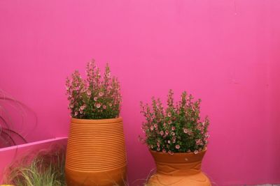 Как выбрать экологичные кашпо для дома? - shkolazhizni.ru