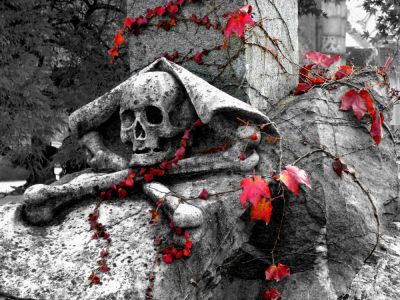 Чем лечили американца Эдвина Брауна? - shkolazhizni.ru - Сша