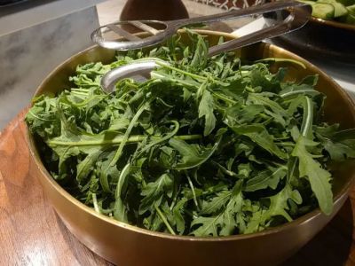 Как хранить зелень 2 недели, чтобы она не желтела: метод ресторанных поставщиков - belnovosti.by