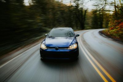 Водителю на заметку. Что делать, если сбил животное? - shkolazhizni.ru