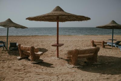 Отдых в Шарм-эль-Шейхе. Часть 2. Как организованы пляжи, дайвинг и питание? - shkolazhizni.ru