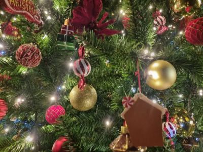 Что приготовить быстро и вкусно: новогодние хитрости - belnovosti.by