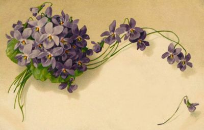 Зима, любовь и фиалки. Как вернуться в прошлое? - shkolazhizni.ru