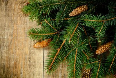 Главная дилемма декабря. Что нас объединяет? - shkolazhizni.ru