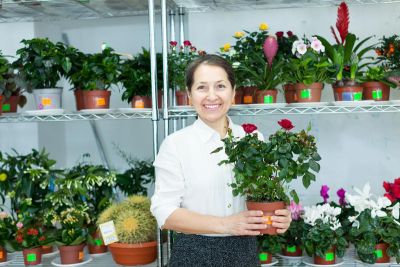 Решили разводить дома цветы? - shkolazhizni.ru