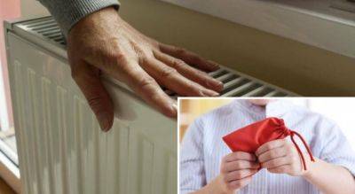 Делаем натуральный освежитель воздух — положите кожуру этого фрукта в пакет и разместите на батарее - nashsovetik.ru