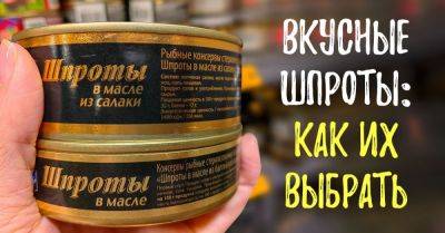 Как выбрать качественные шпроты - nashsovetik.ru