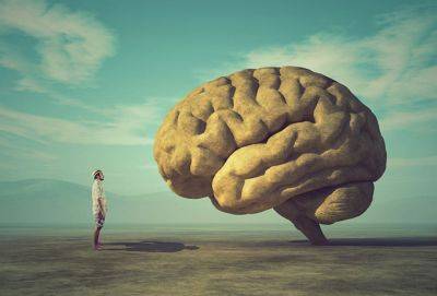 7 привычек, указывающих на низкий уровень интеллекта, согласно психологии - cluber.com.ua