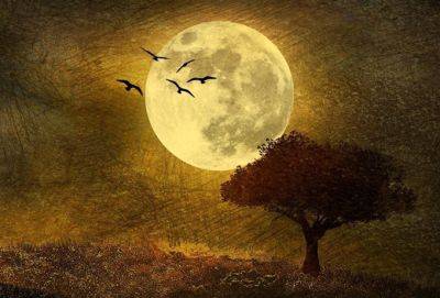 28.10.2023 — мощное Полнолуние любви и перемен: как закрыть коридор затмений во благо - cluber.com.ua