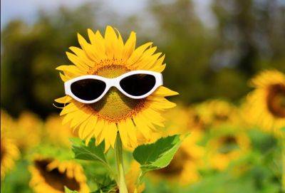 Дни силы в августе 2023 года — используйте их во благо - cluber.com.ua